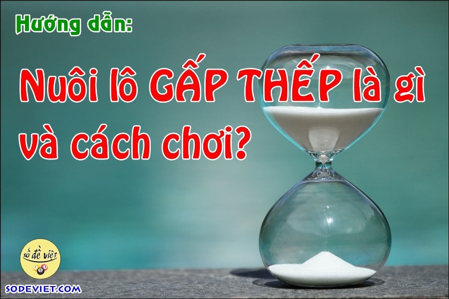 Nuôi lô gấp thếp là gì Cách chơi lô gấp thếp như thế nào