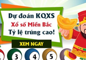 Chuyên gia lô đề miền bắc chia sẻ kinh nghiệm chơi lô đề hiệu quả