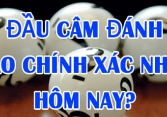 Lô đầu 9 câm đánh con gì hôm sau