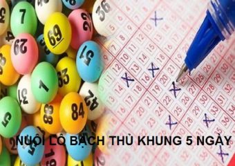 nuôi lô bạch thủ khung 5 ngày